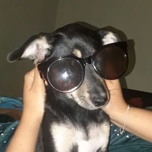 Meet your Posher, Paula